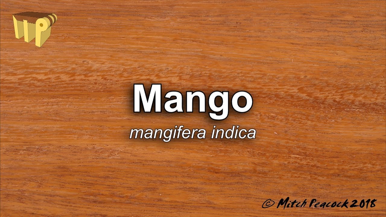 Mango (mangifera indica) - Mitch's World of Woods