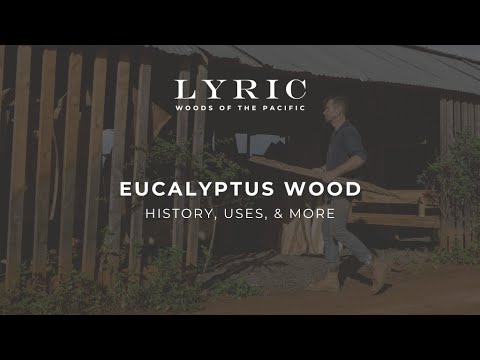 Eucalyptus Wood - History, Uses & More
