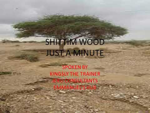 SHITTIM WOOD