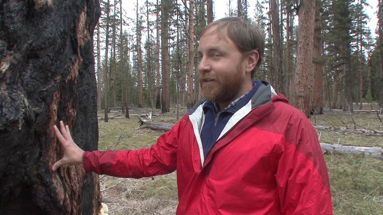 Western Larch & Travis Belote