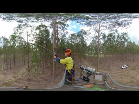 The Renewable Spotted Gum Forest Story SD