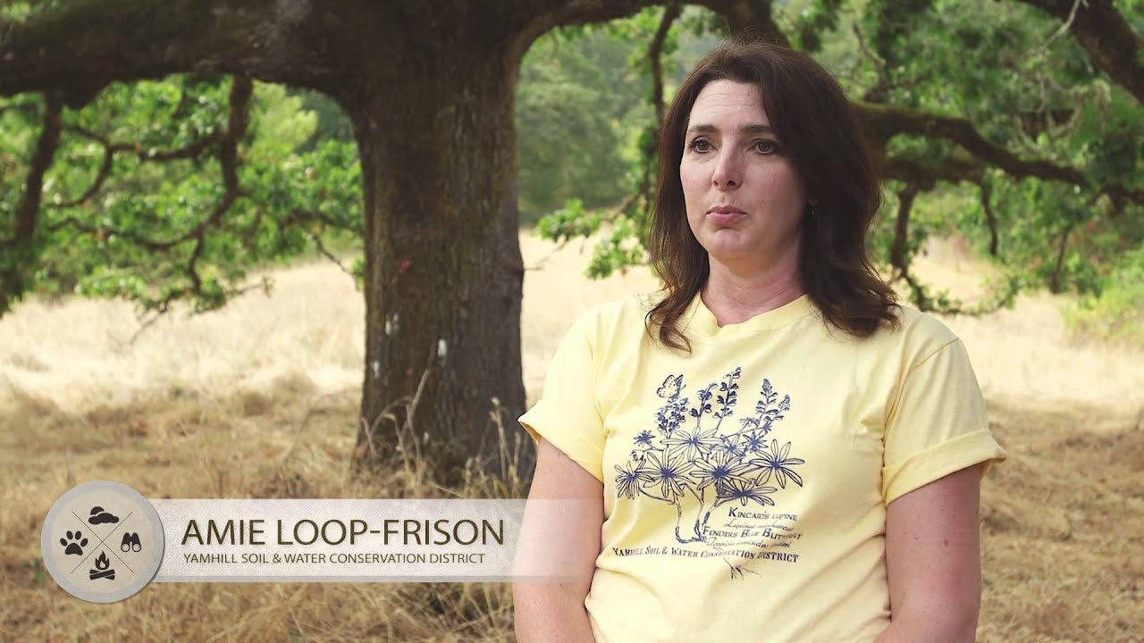 Oregon's Oak  A Vanishing Legacy HD