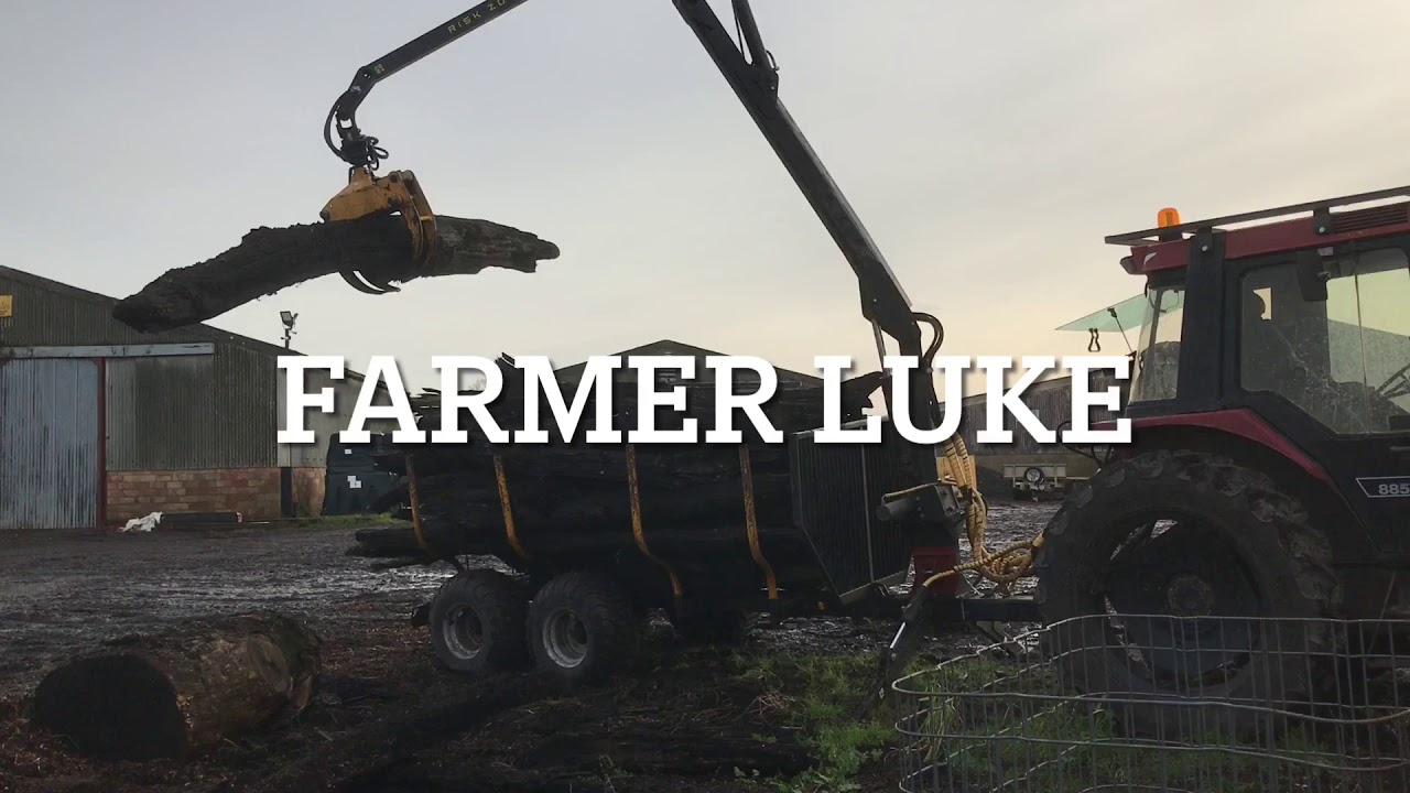What is bog oak? Farmer luke explains🚜🌾 #farming #education #wood