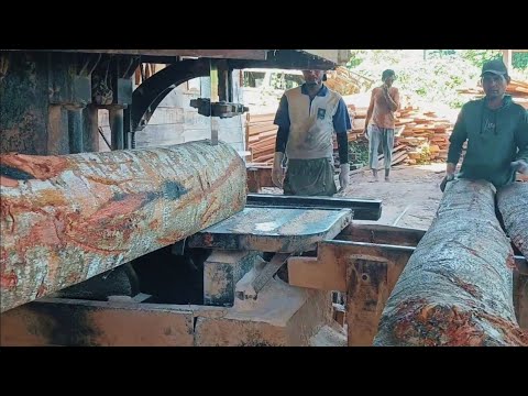 Australian Buloke Wood