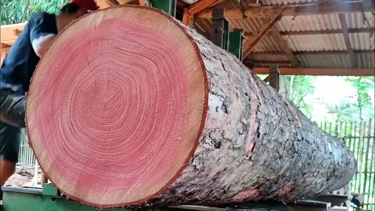 "Mahogany Wood Review: Advantages, Texture, and Uses"