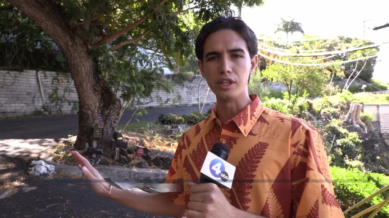 Monkeypod tree on Oahu property citied for posing safety hazard