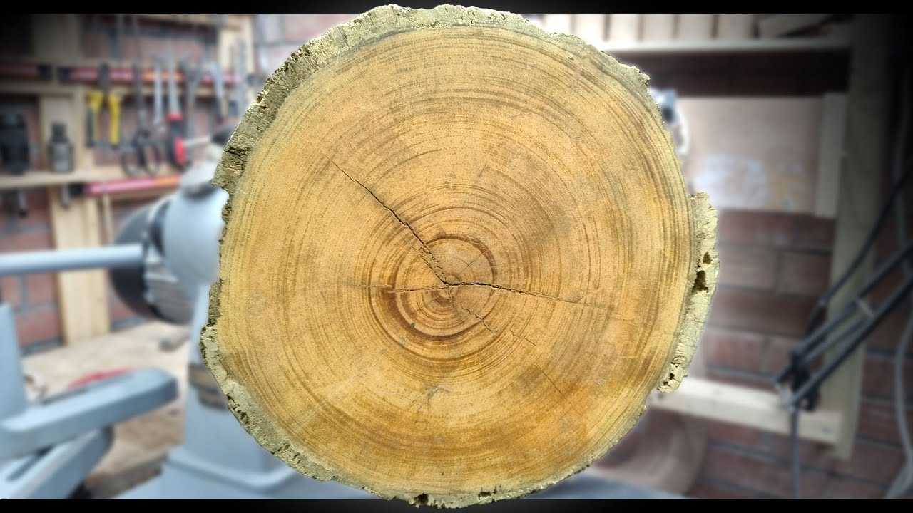 And it's All YELLOW - Woodturning the YELLOWHEART COOKIE