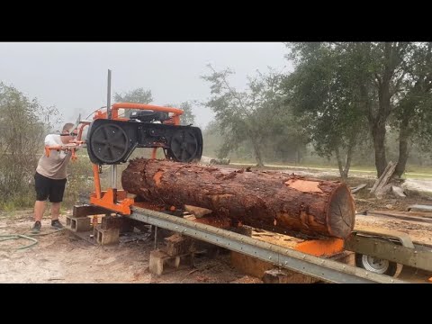 Rainbow eucalyptus on the Norwood lm30 sawmill