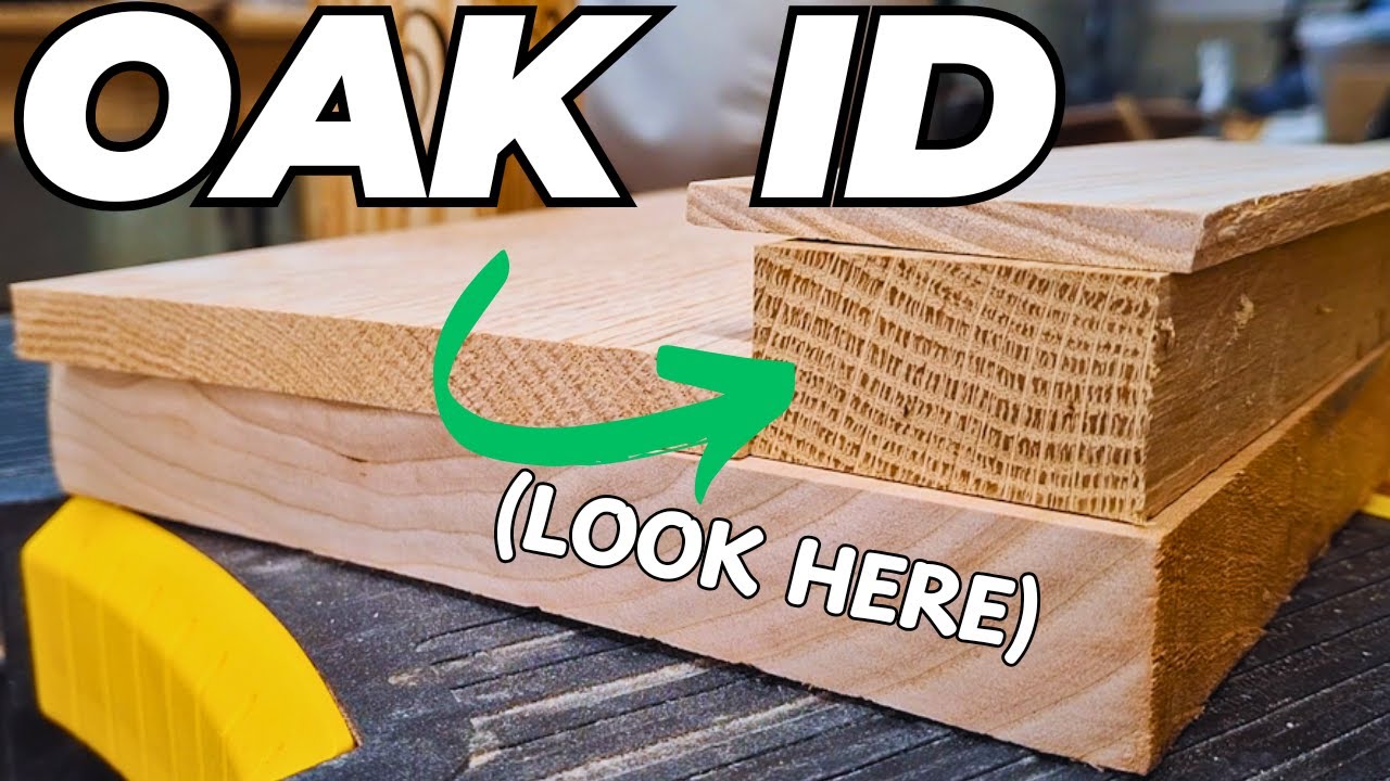 How to Easily Identify Oak Wood