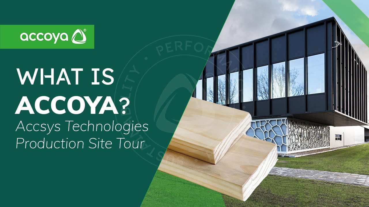 What is Accoya Sustainable Wood? | Accsys Technologies Site Tour