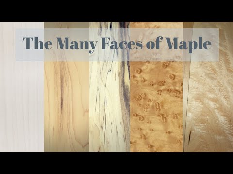 The Many Faces of Maple - A Woodworkers Guide to the Many Varieties of Maple Lumber
