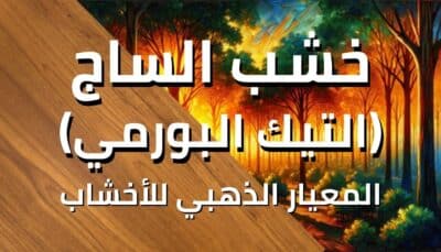 غابة من خشب الساج أو خشب التيك البورمي