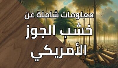 معلومات شاملة عن خشب الجوز الأمريكي