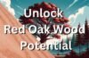 Unlock Red Oak Wood Potential