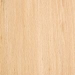 beech wood texture