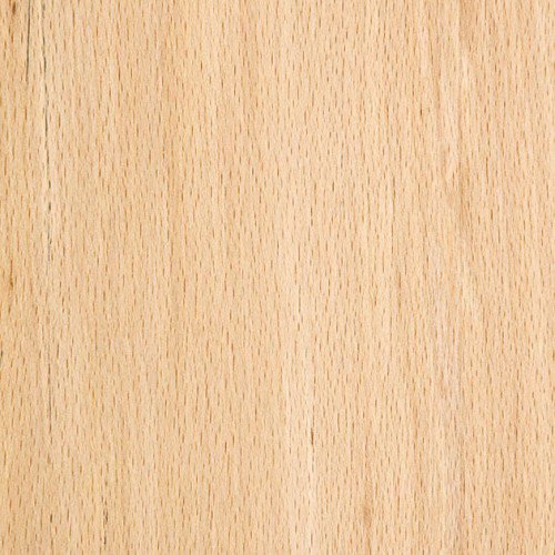 beech wood texture
