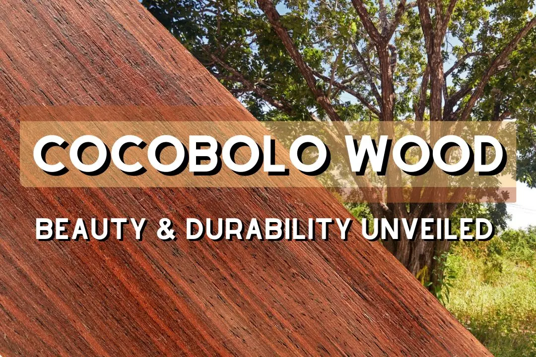 Cocobolo Wood