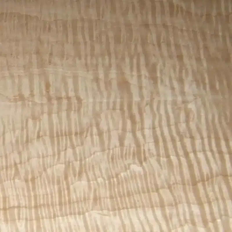 Curly Maple Veneer