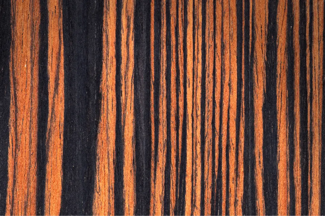 Macassar Ebony wood