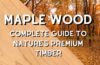 Maple wood Complete Guide