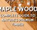 Maple wood Complete Guide