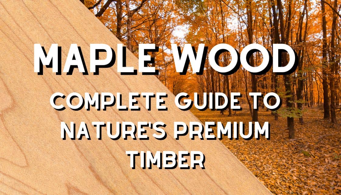 Maple wood Complete Guide