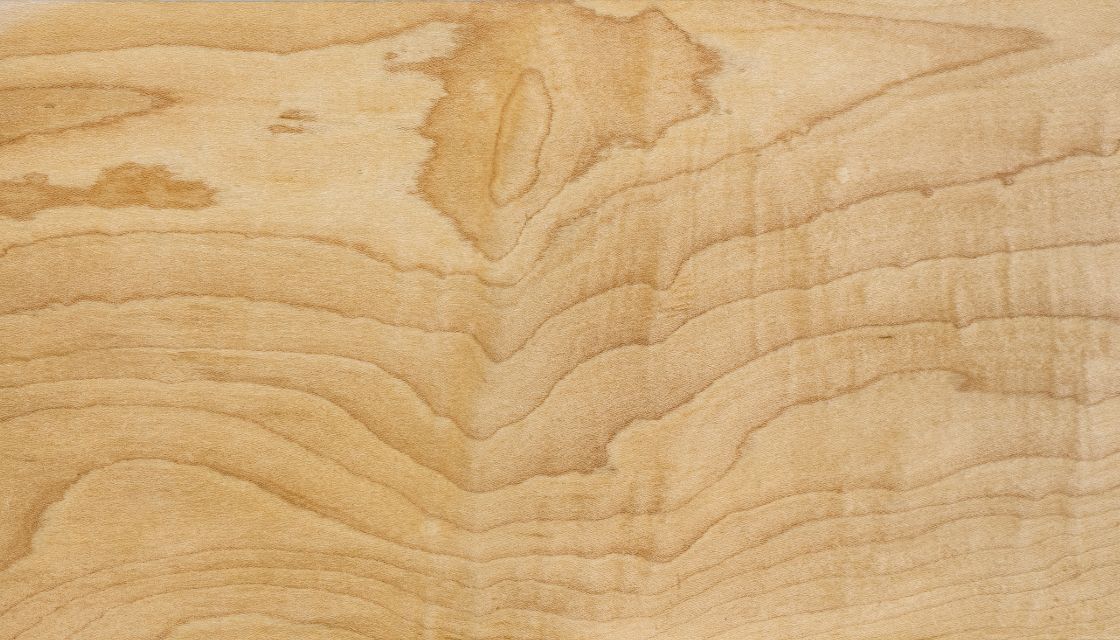 Maple wood