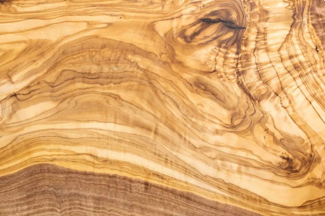 Olive Wood 1