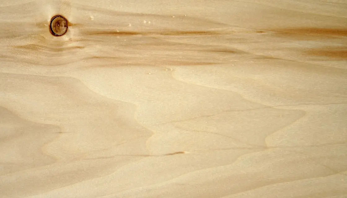 Poplar wood veneer 1