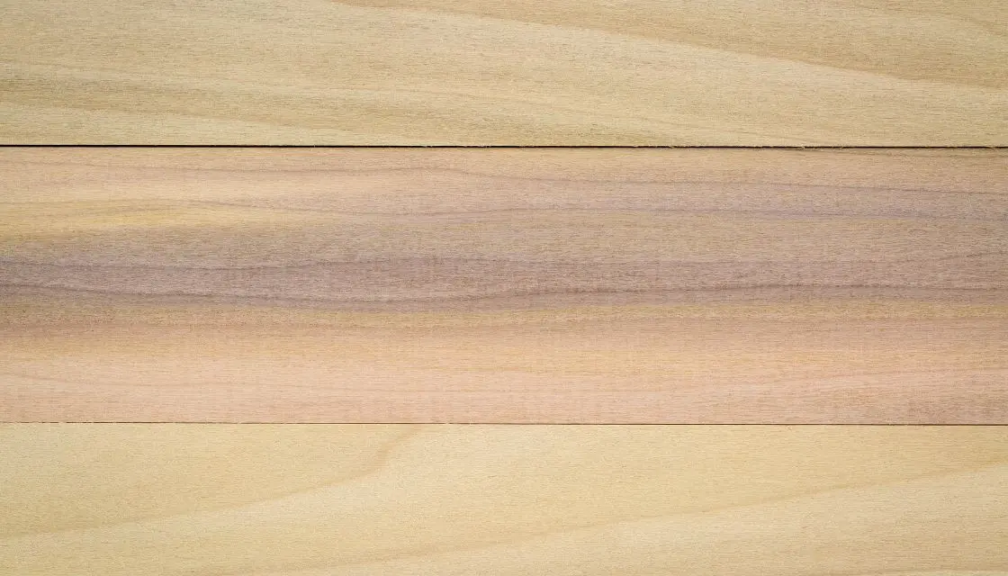 Poplar wood veneer 2