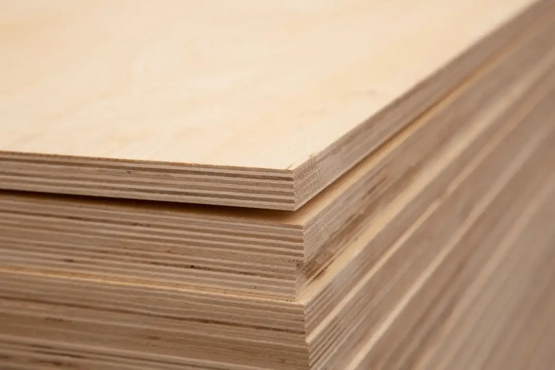 birsh plywood