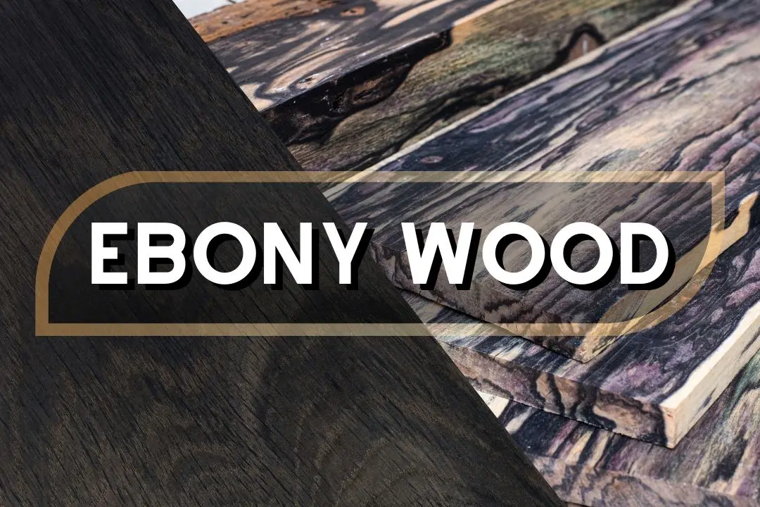 ebony wood