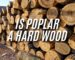 is poplar a hardwood