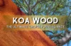 koa wood