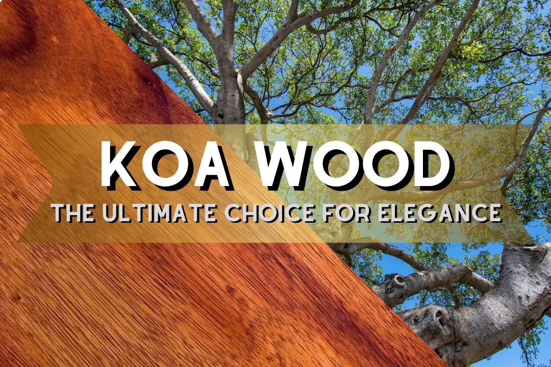 koa wood