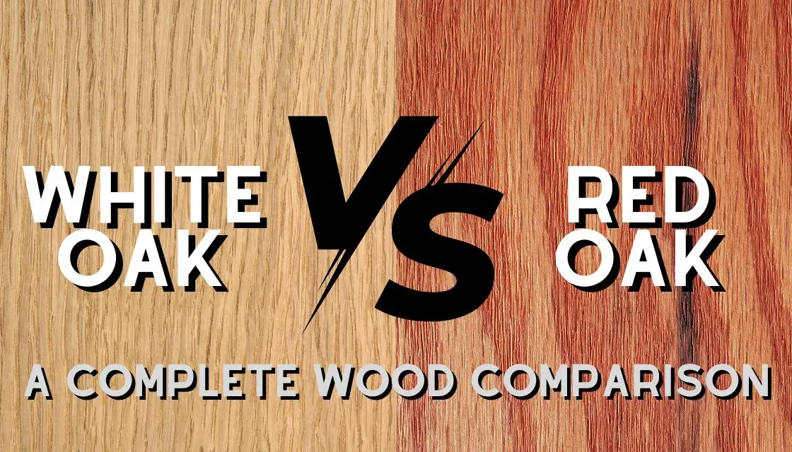 red oak vs white oak