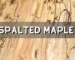 what is spalted maple wood