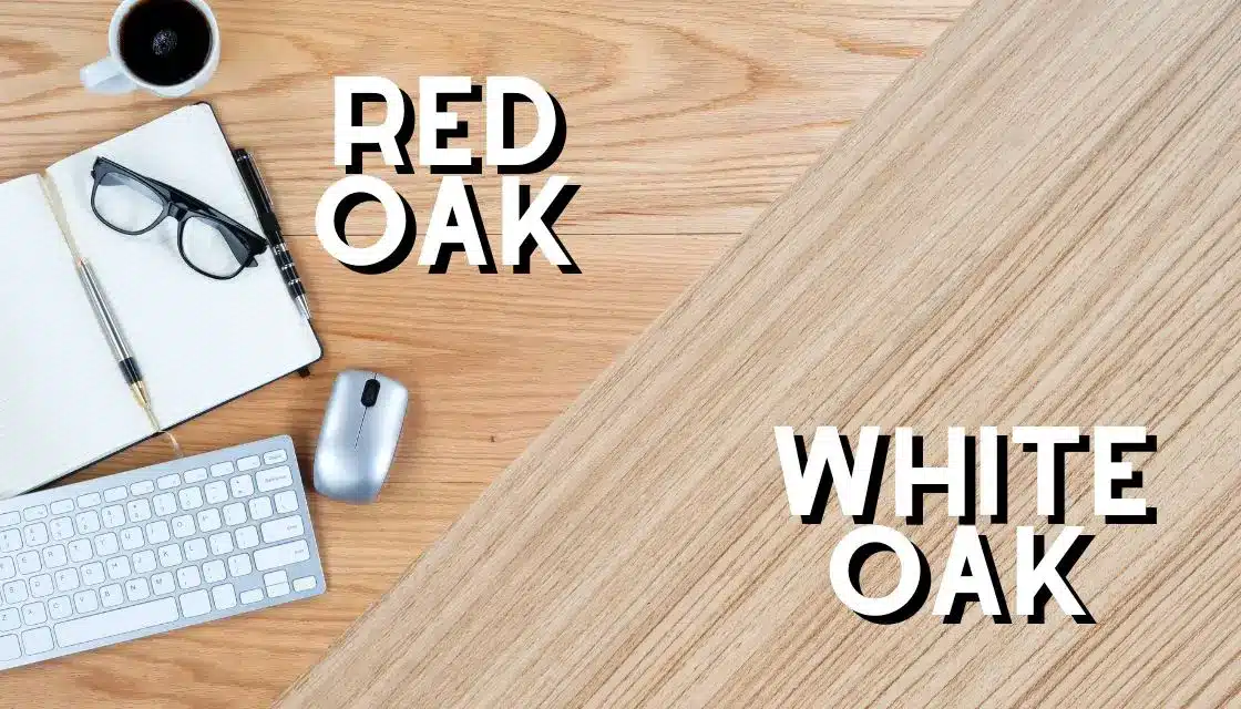 white oak versus red oak