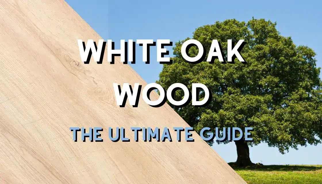 white oak wood