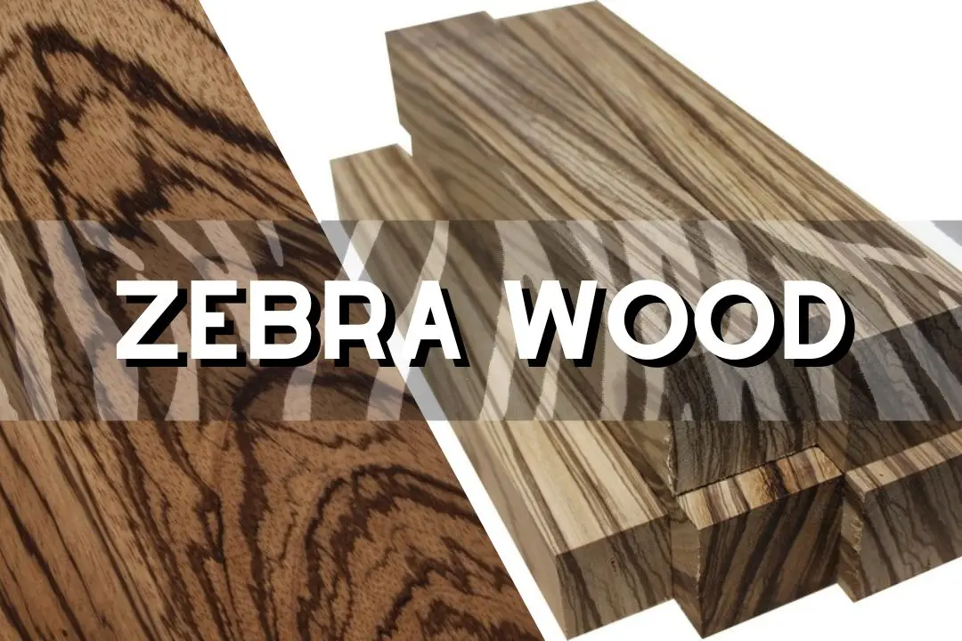 zebra Wood