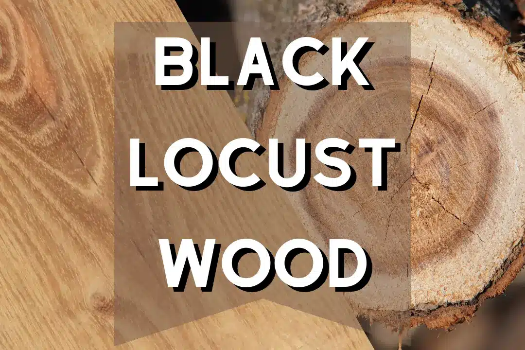 Black Locust Wood