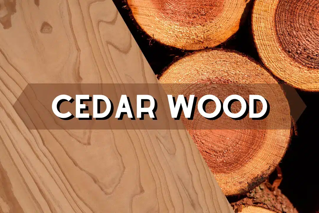 Cedar wood