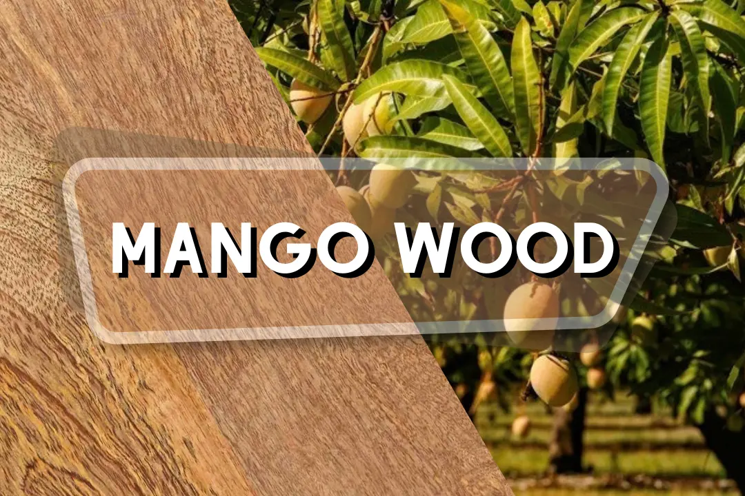 Mango wood