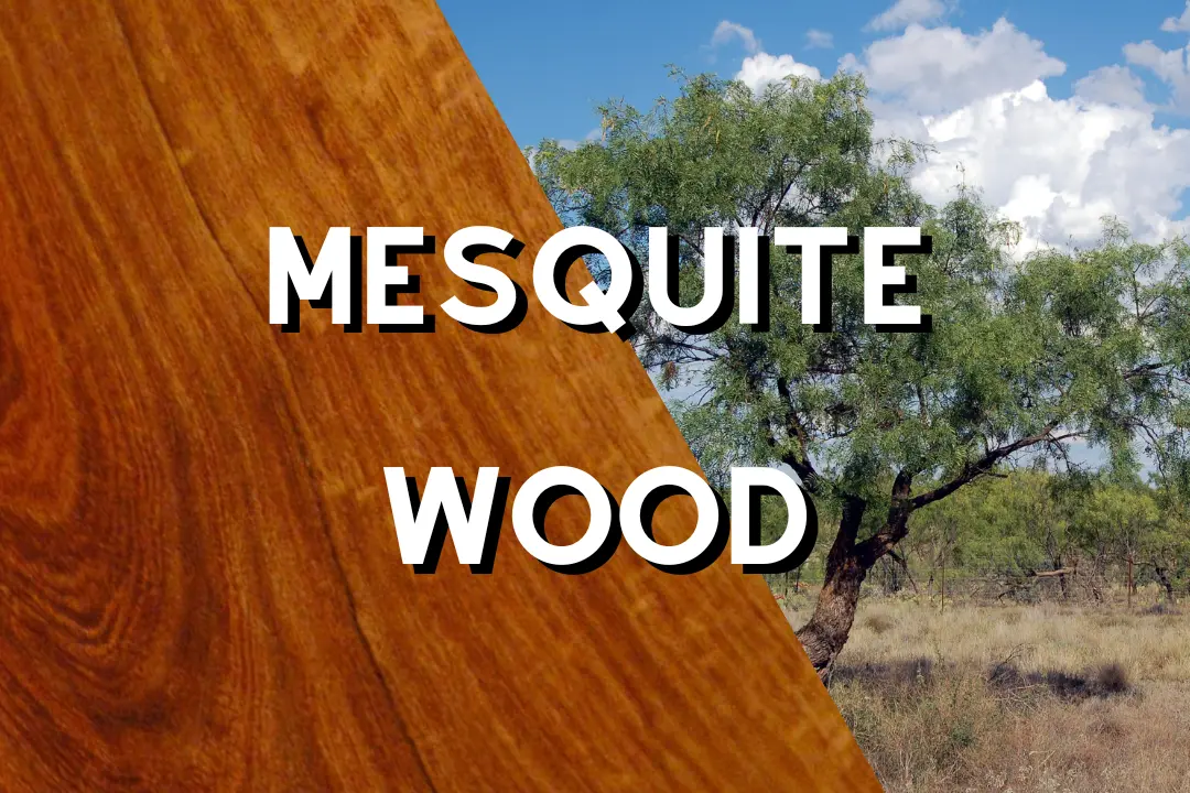 Mesquite wood