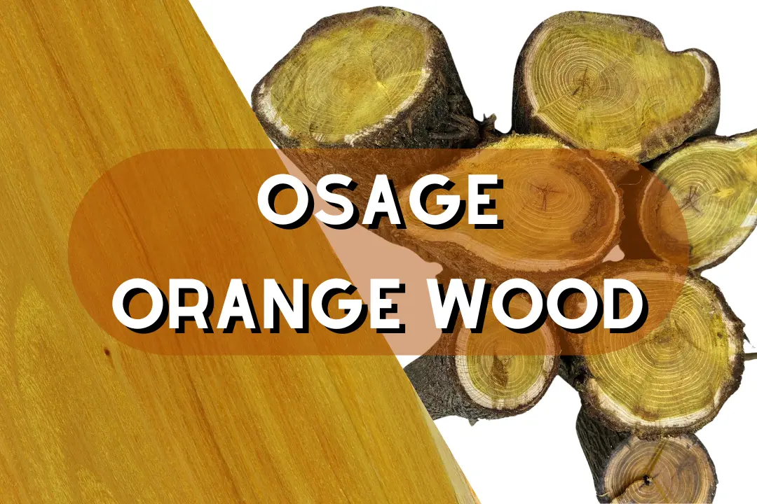 Osage Orange Wood