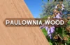 Paulownia wood