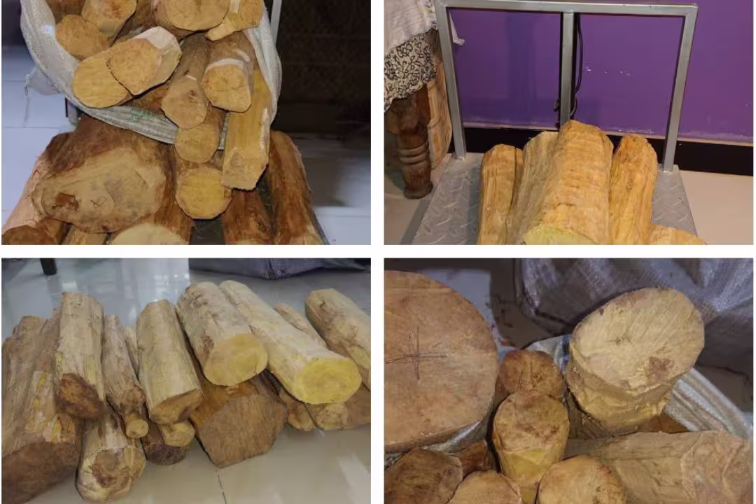 Sandalwood logs