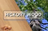 Hichory wood