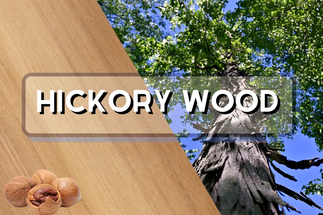 Hichory wood