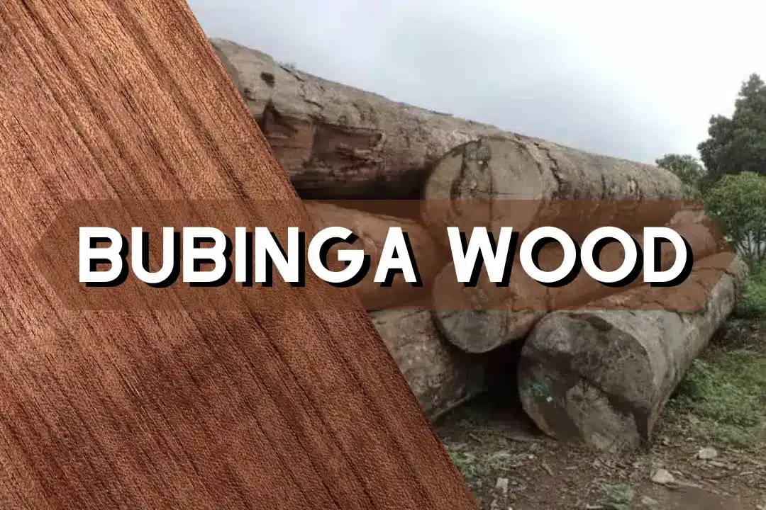 bubinga wood